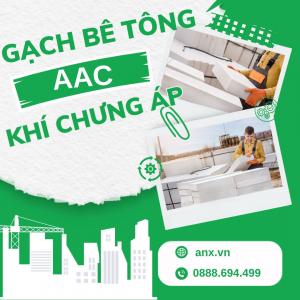Gạch bê tông khí chưng áp aac block 600x200mm