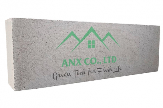 AAC Block size 600x200, thickness 100mm